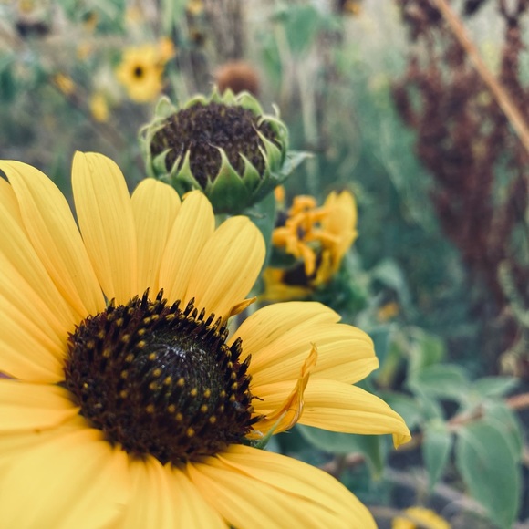 Meet your Posher, Samantha - Picture 3 of 10